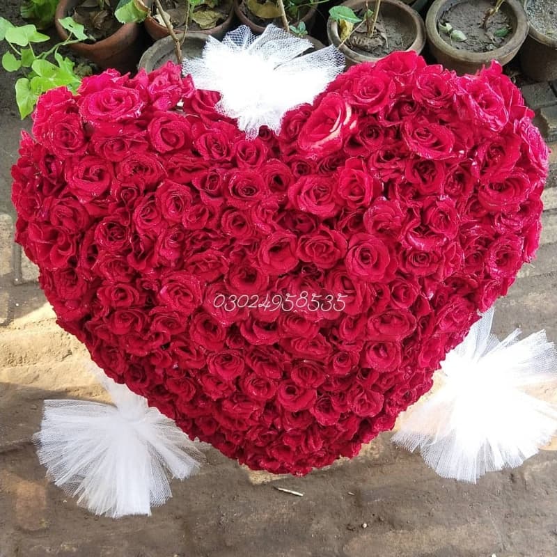 Fresh Red Roses heart