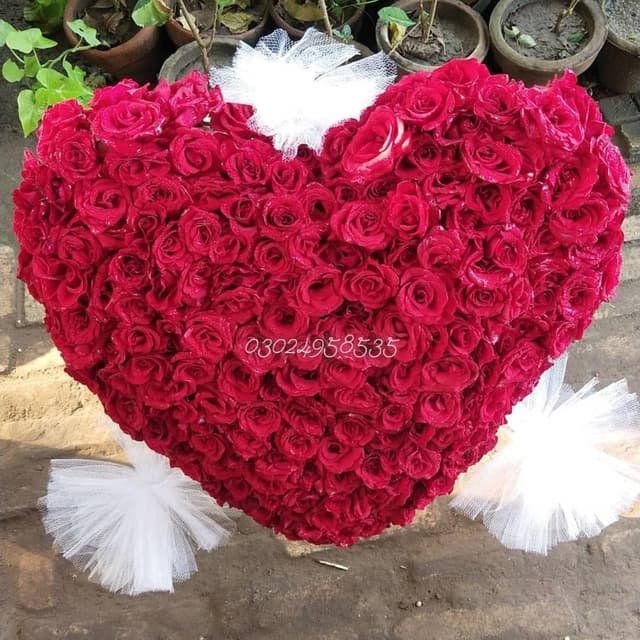 Fresh Red Roses heart